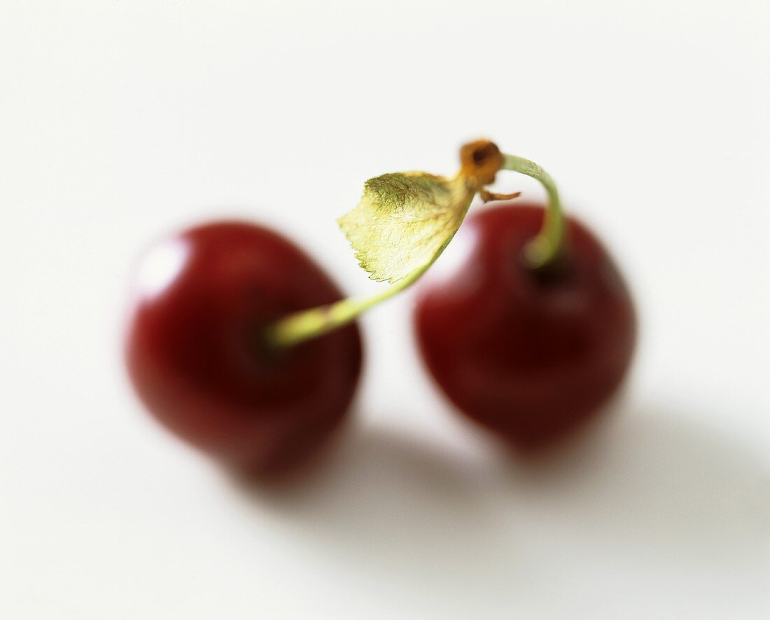 A pair of cherries