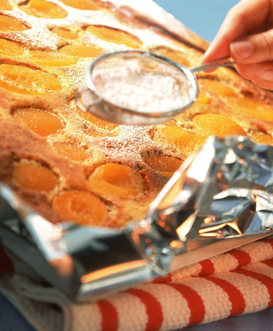 Puderzucker wird über Aprikosen-Mohn-Kuchen gestäubt