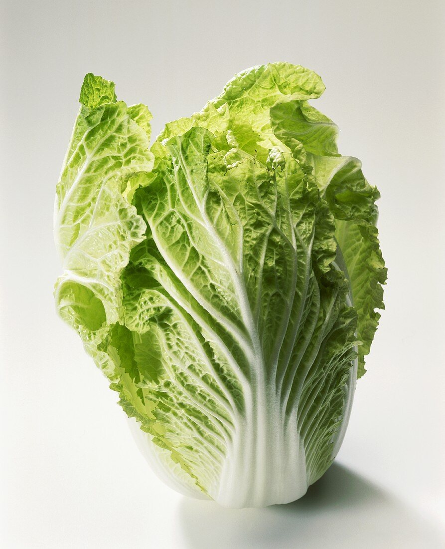 Whole Head of Chinese Cabbage