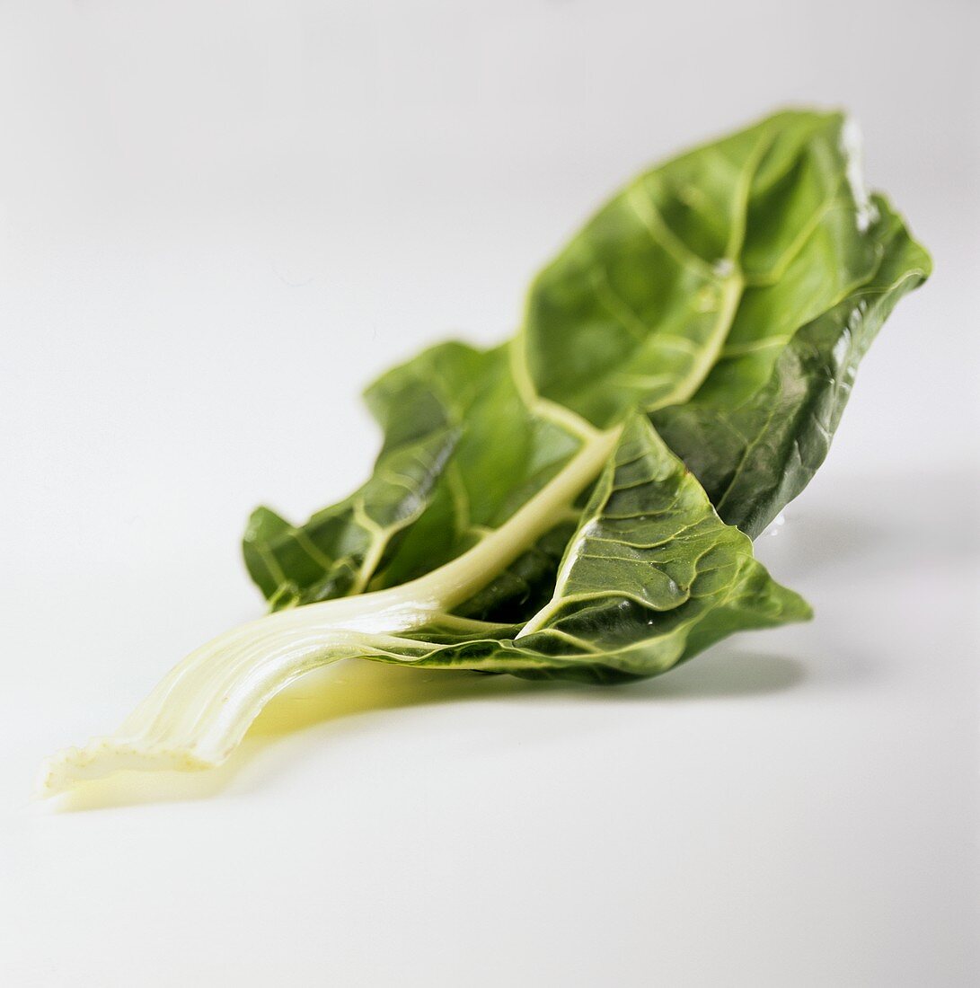 A chard leaf