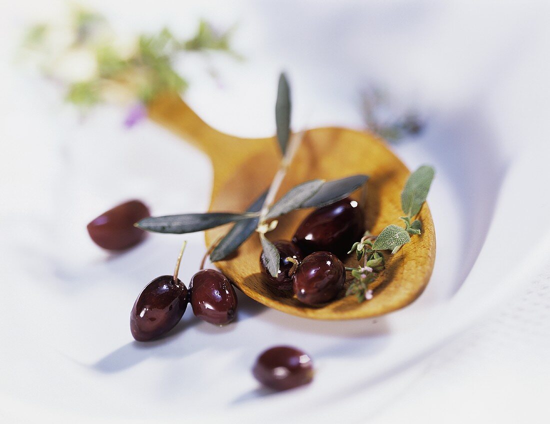 Dark olives on wooden spoon