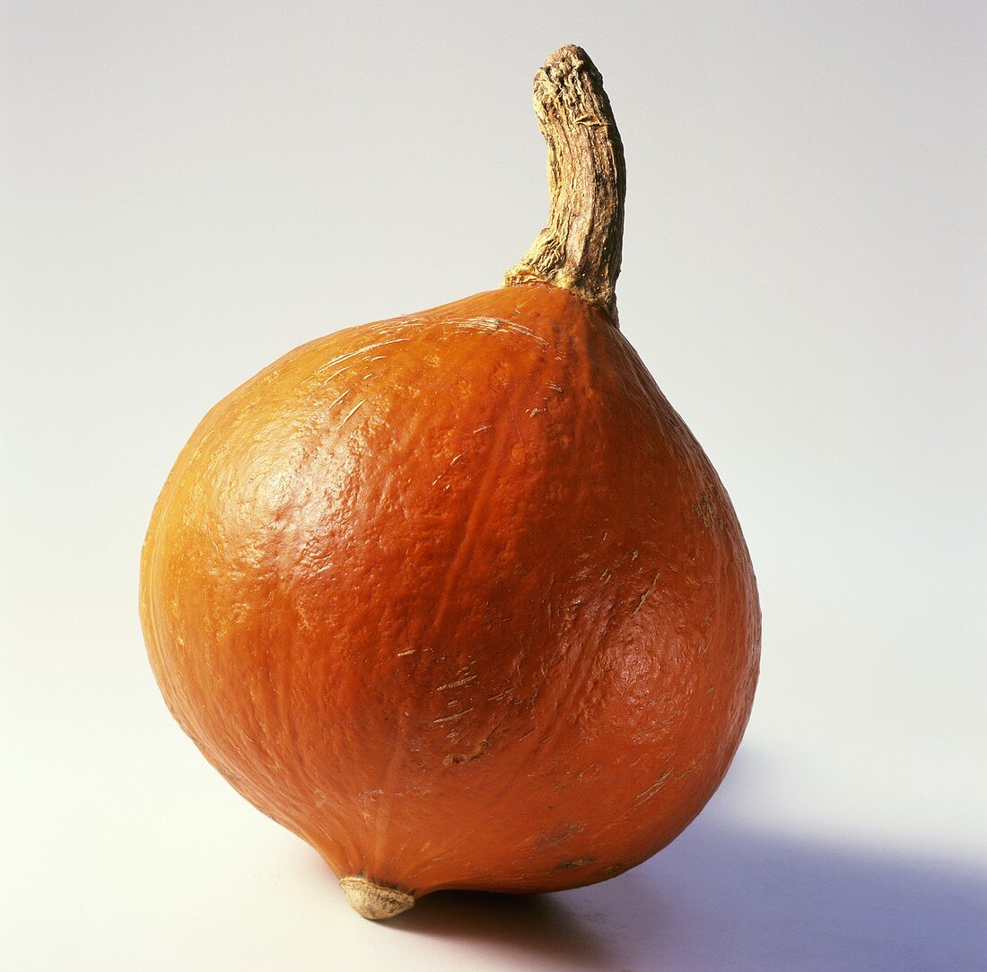 A Hokkaido squash