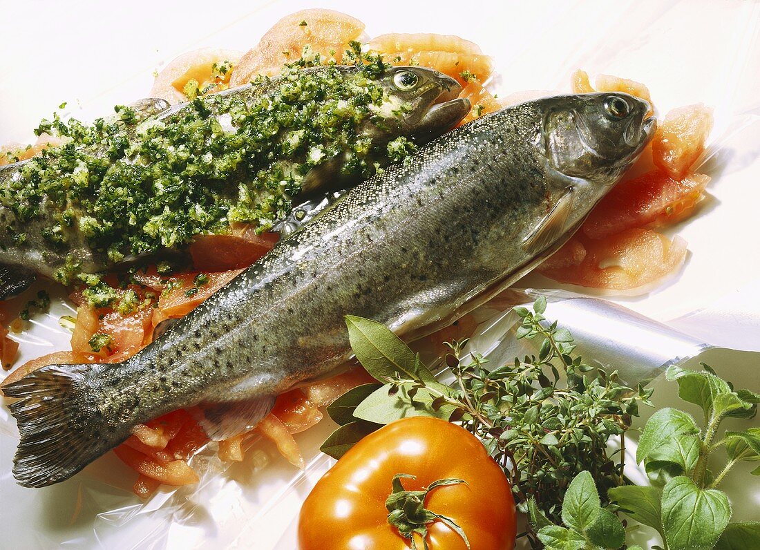 Kräuterforelle mit Tomatengemüse in Bratfolie