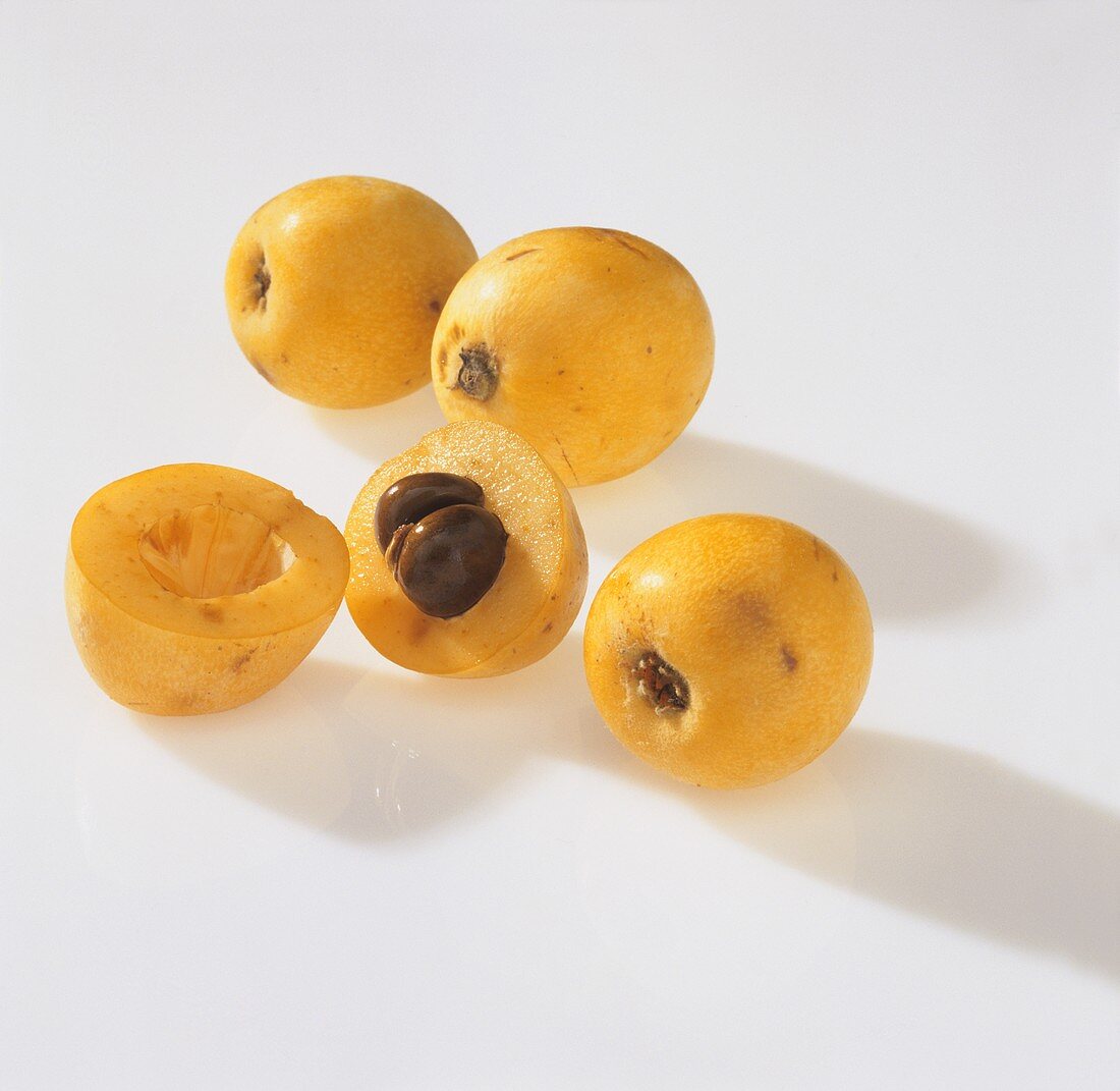 Loquat (bzw. Japanische Mispel, Eriobotrya japonica)