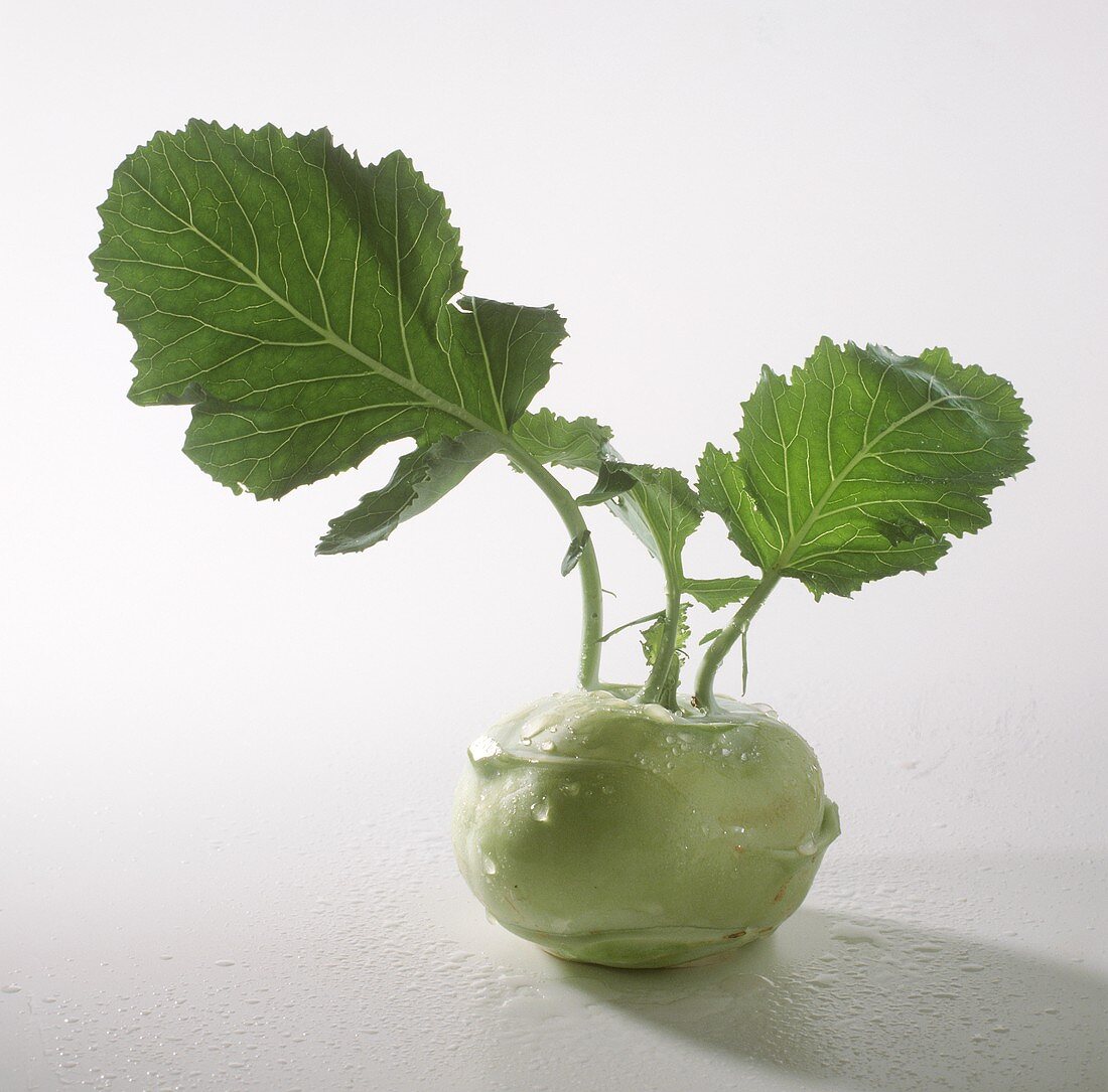 A freshly washed kohlrabi with leaves