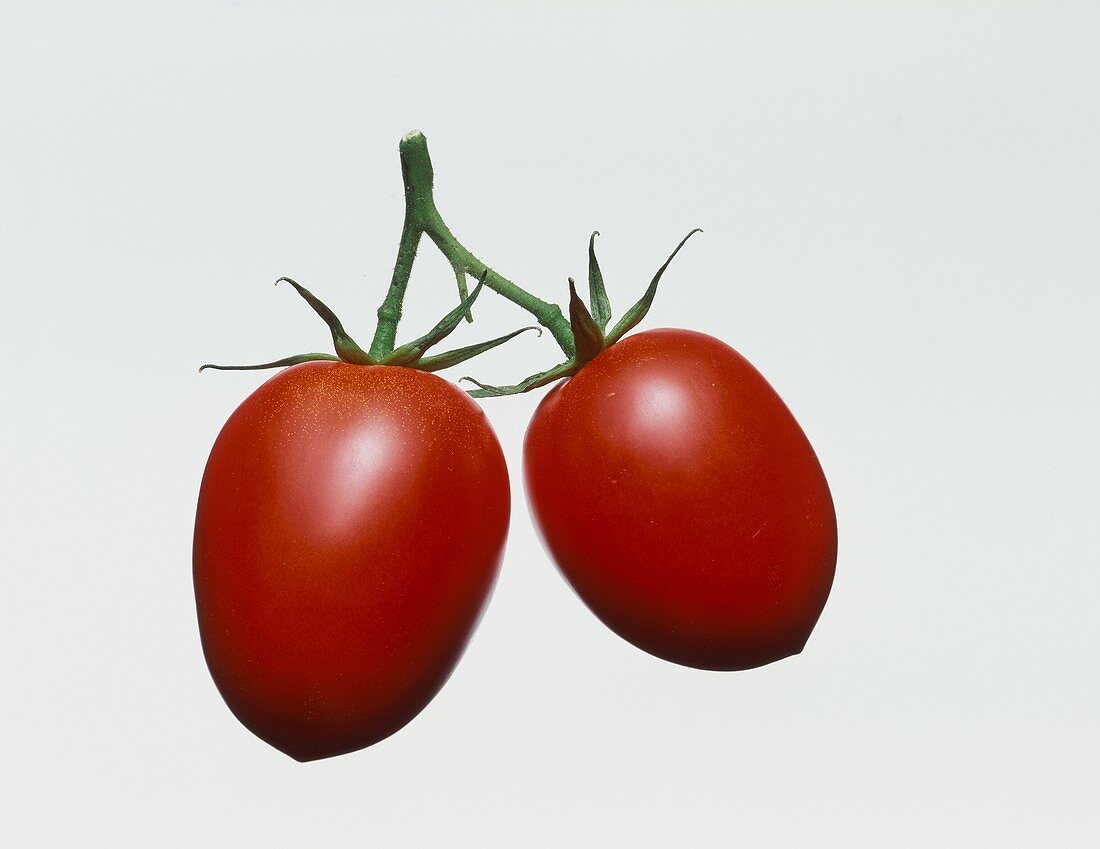 Plum Tomatoes