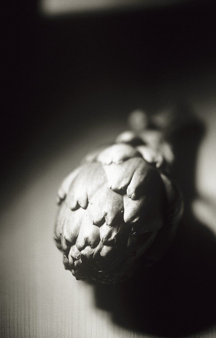 An artichoke (black and white photo)