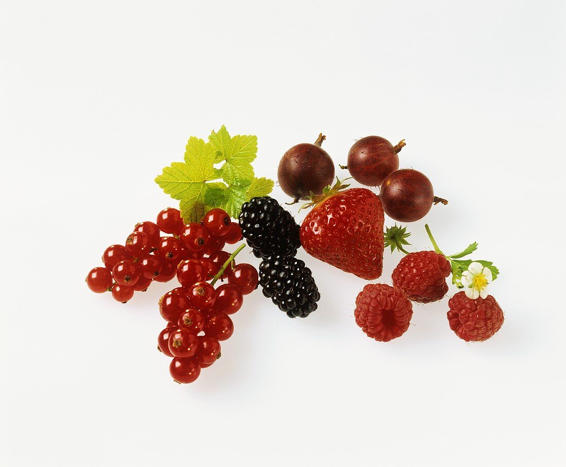 Rote Johannisbeeren, Him-, Brom-, Stachel- und Erdbeeren