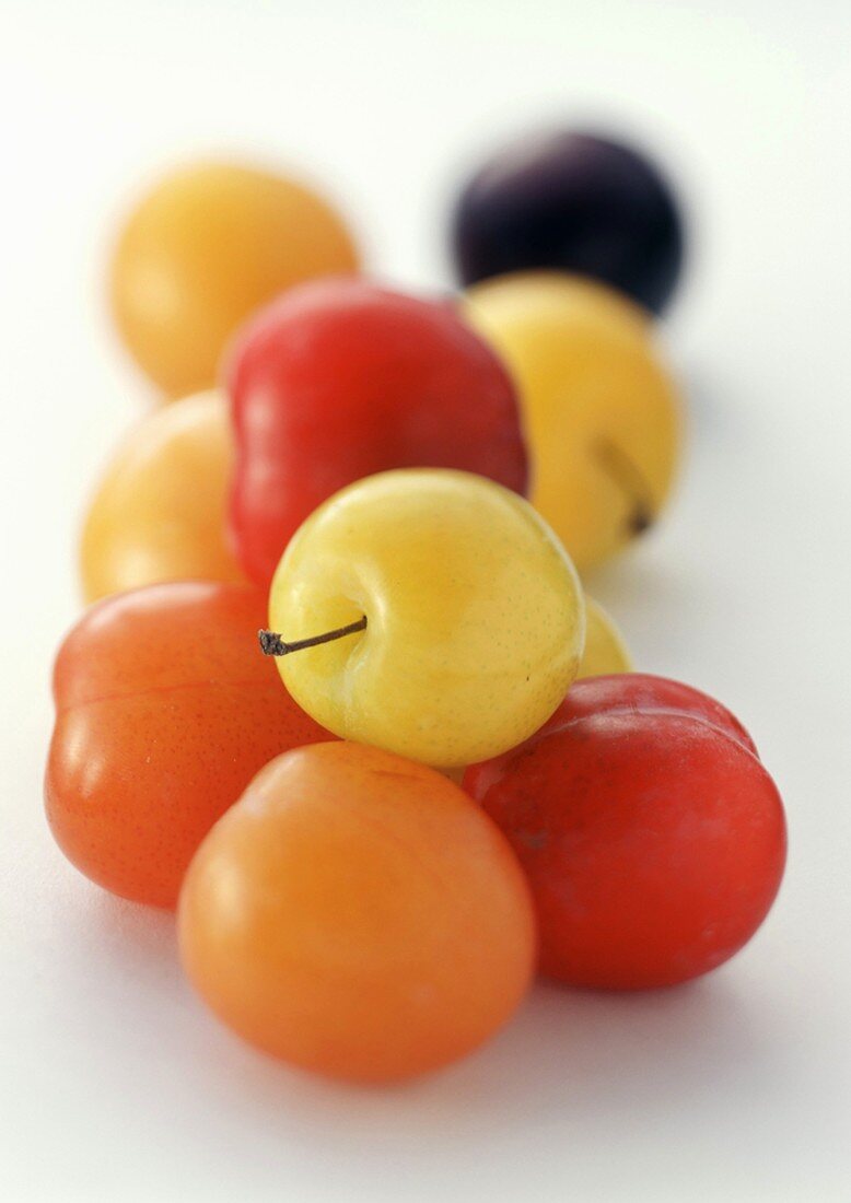 Different coloured plums