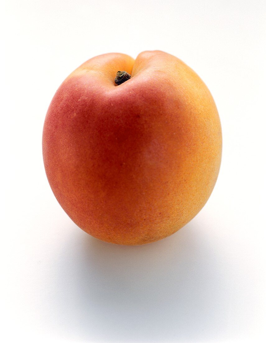 One Apricot