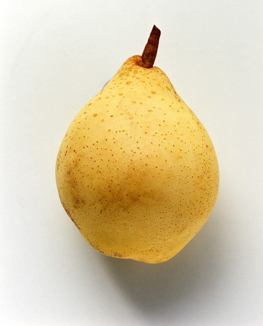 A yellow pear (Gellerts Butterbirne)