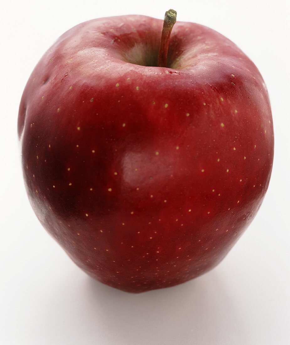 Ein Apfel der Sorte Gloster