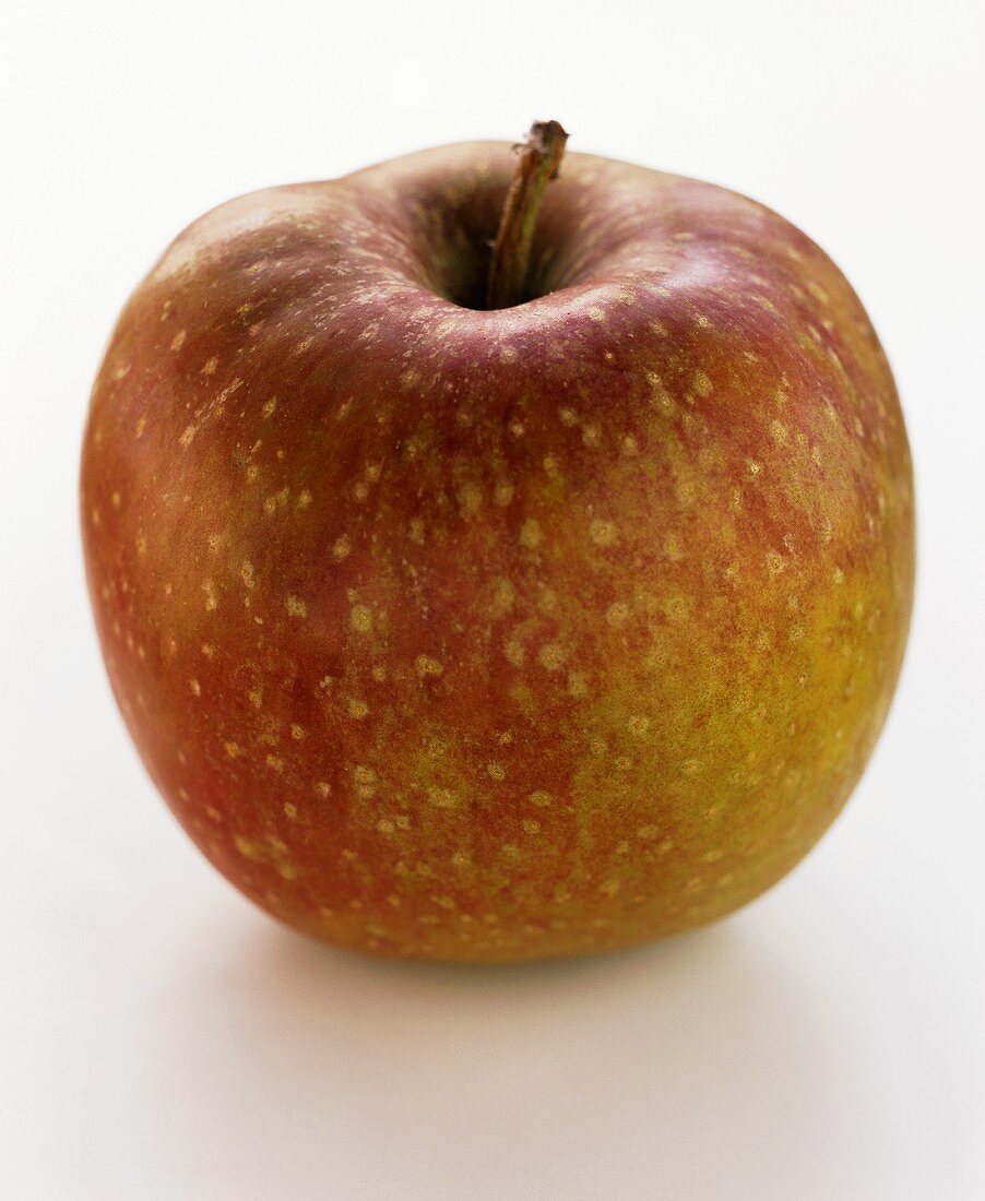 Ein Apfel der Sorte Boskop