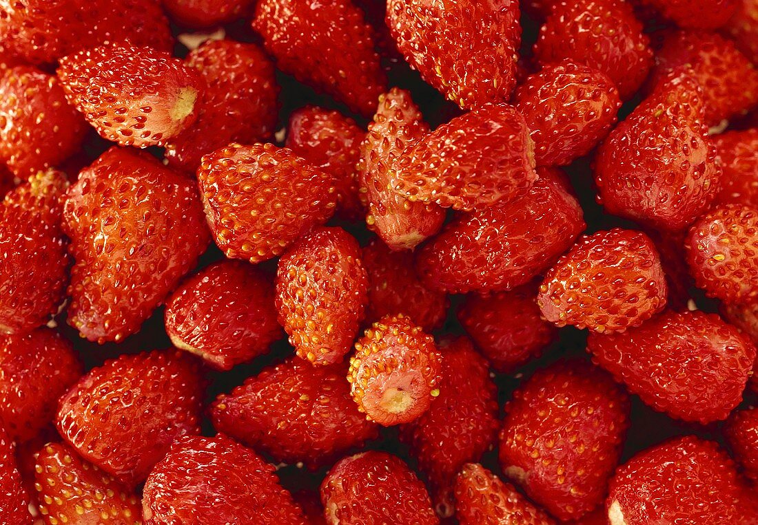 Freshly washed wild strawberries (filling the picture)