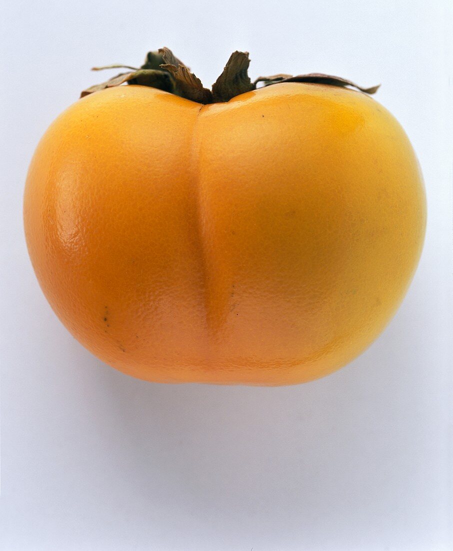 Persimmon