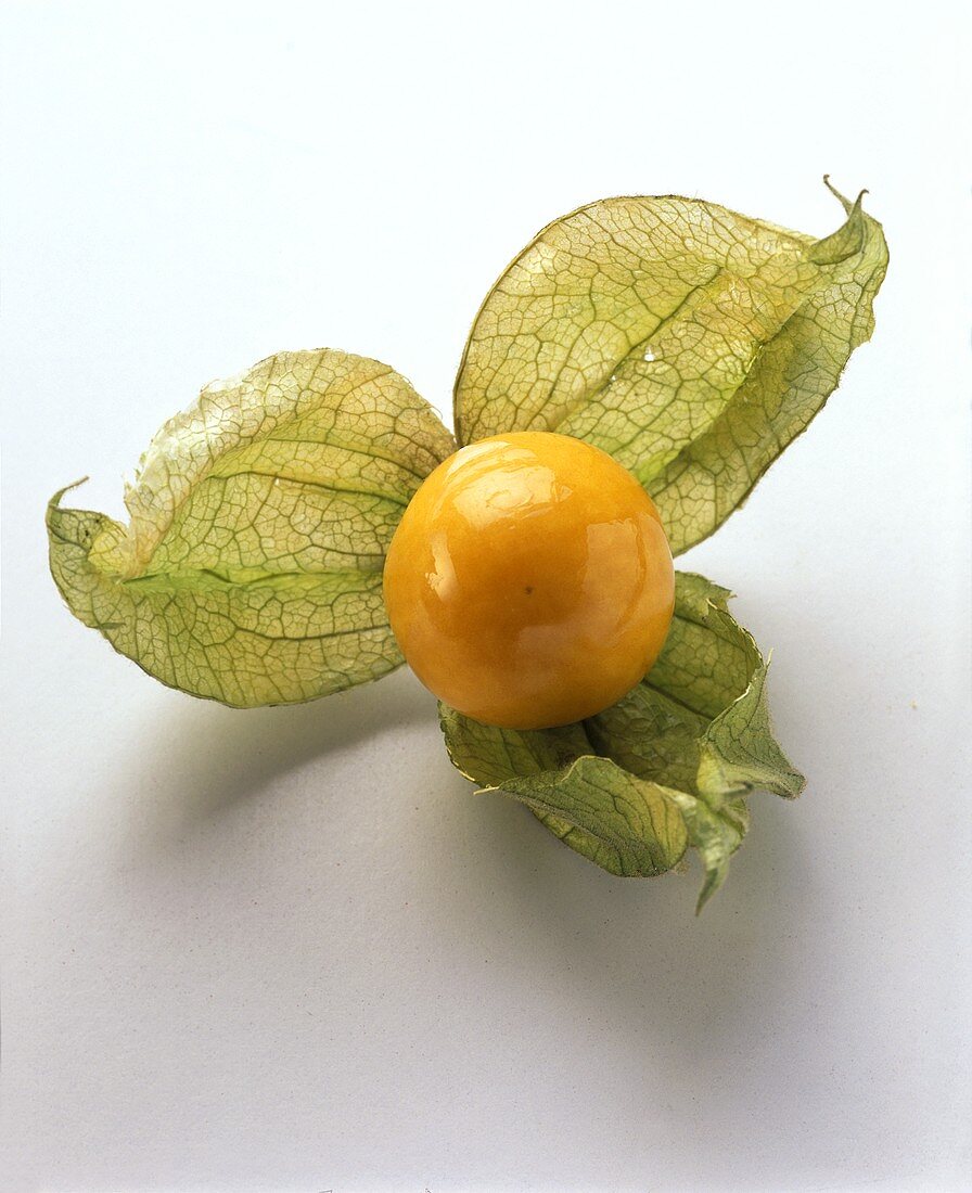 Cape Gooseberry