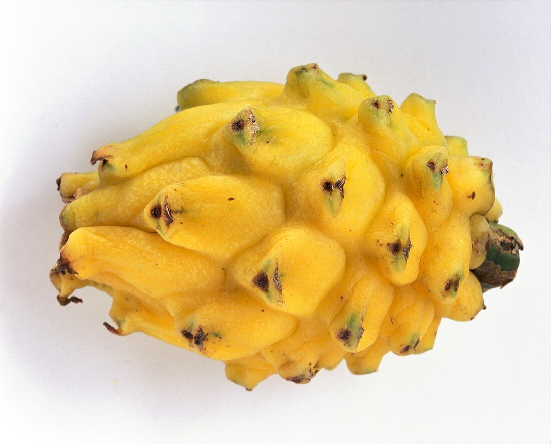 Yellow Pitahaya