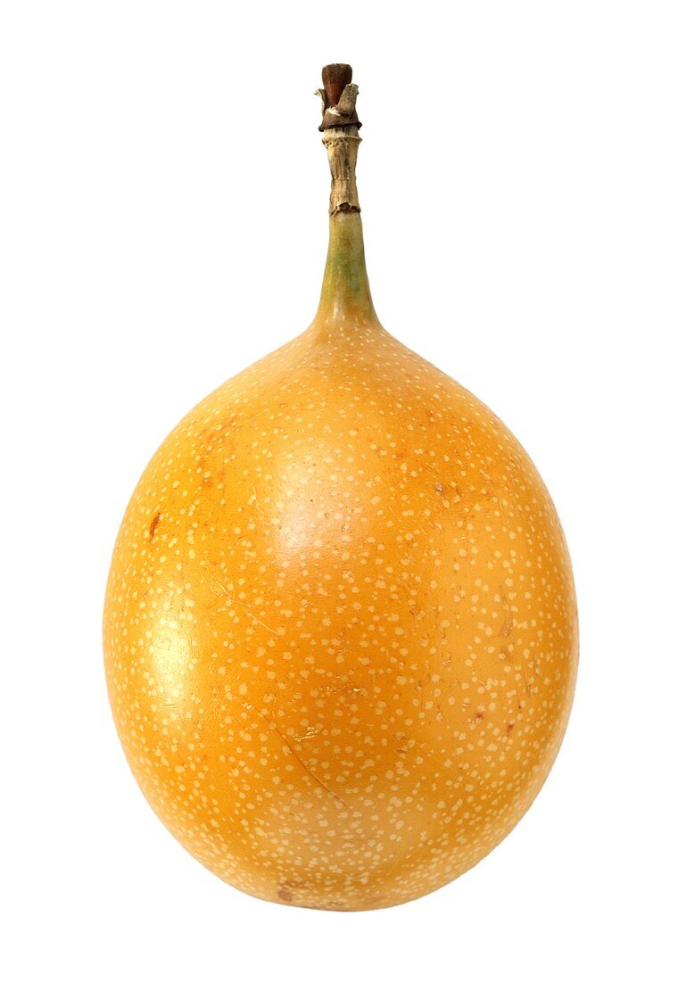 Eine Granadilla