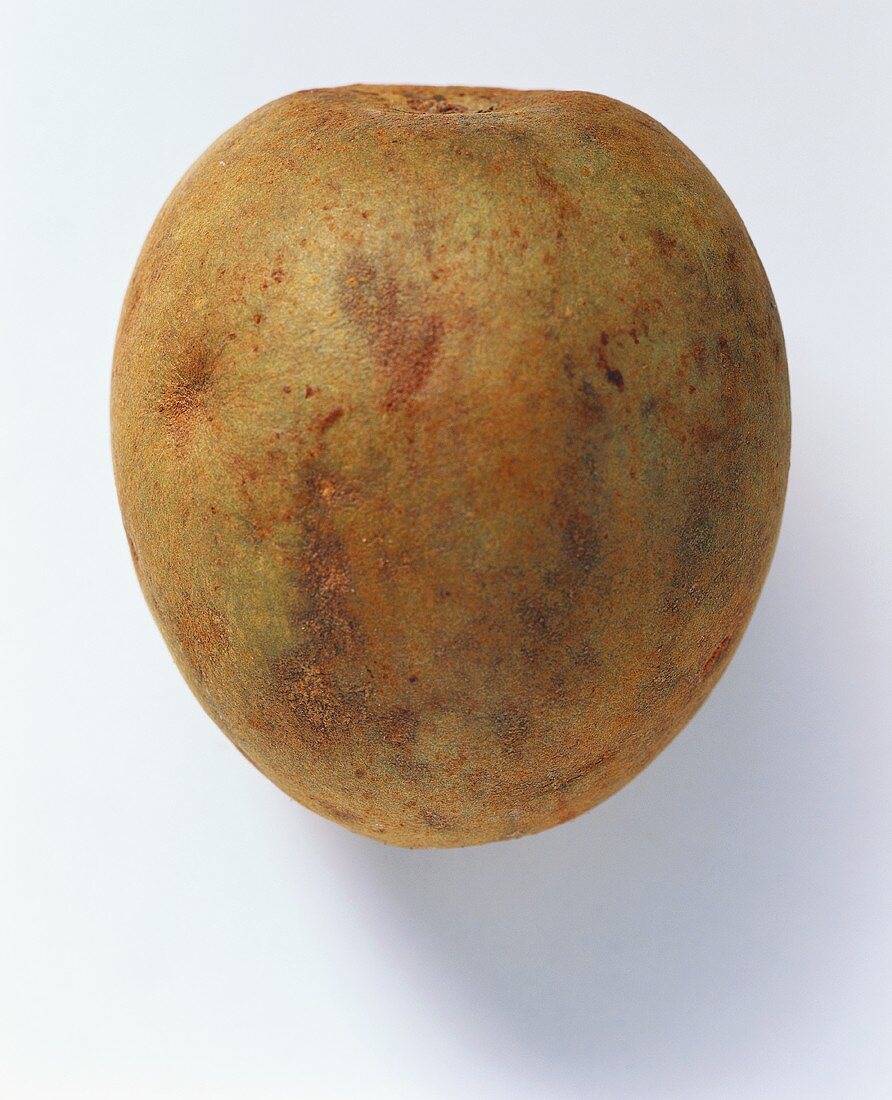 A sapodilla