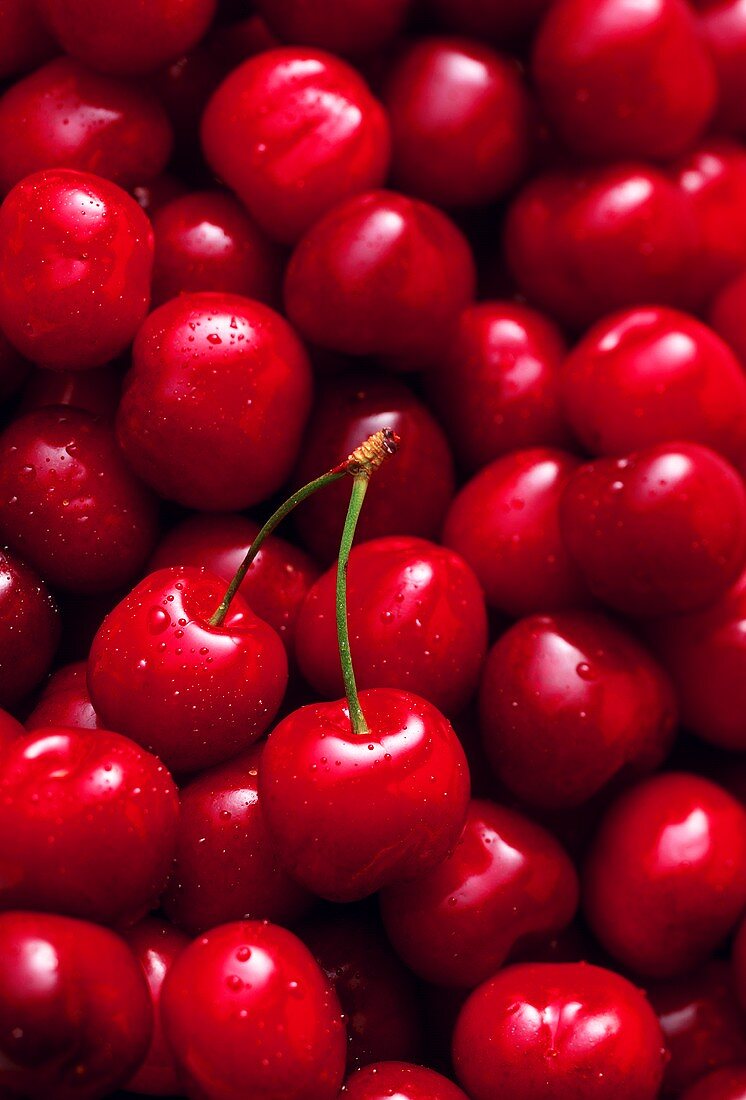 Cherries with drops of water (filling the picture)