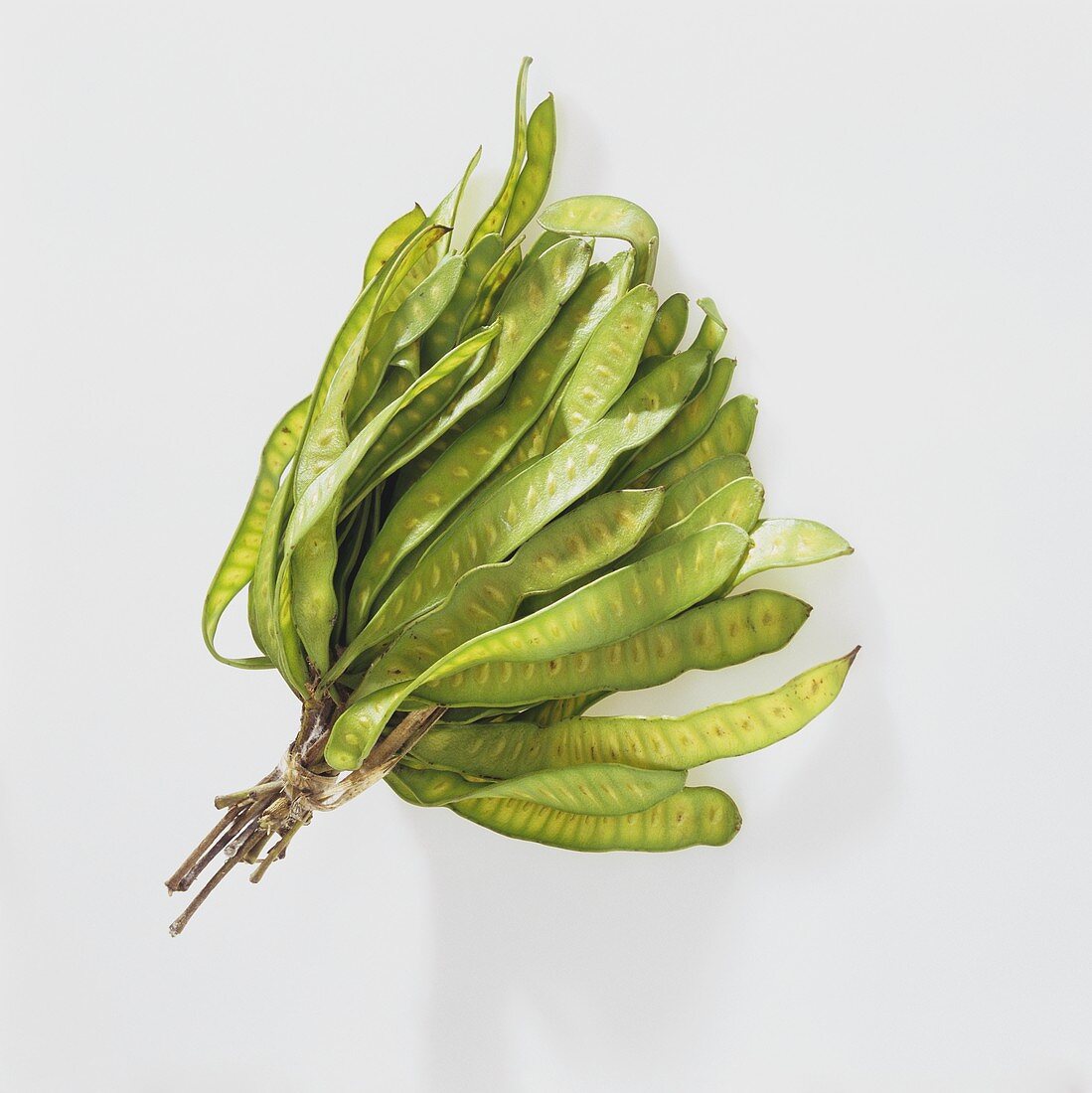 Petai beans (Parkia speciosa)
