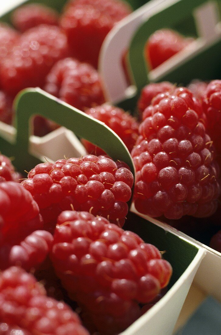 Raspberries in baskets