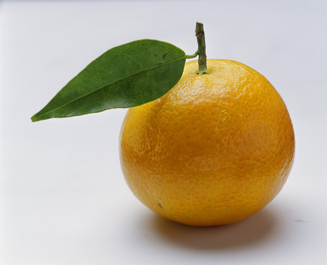 Eine Mandarine mit Blatt