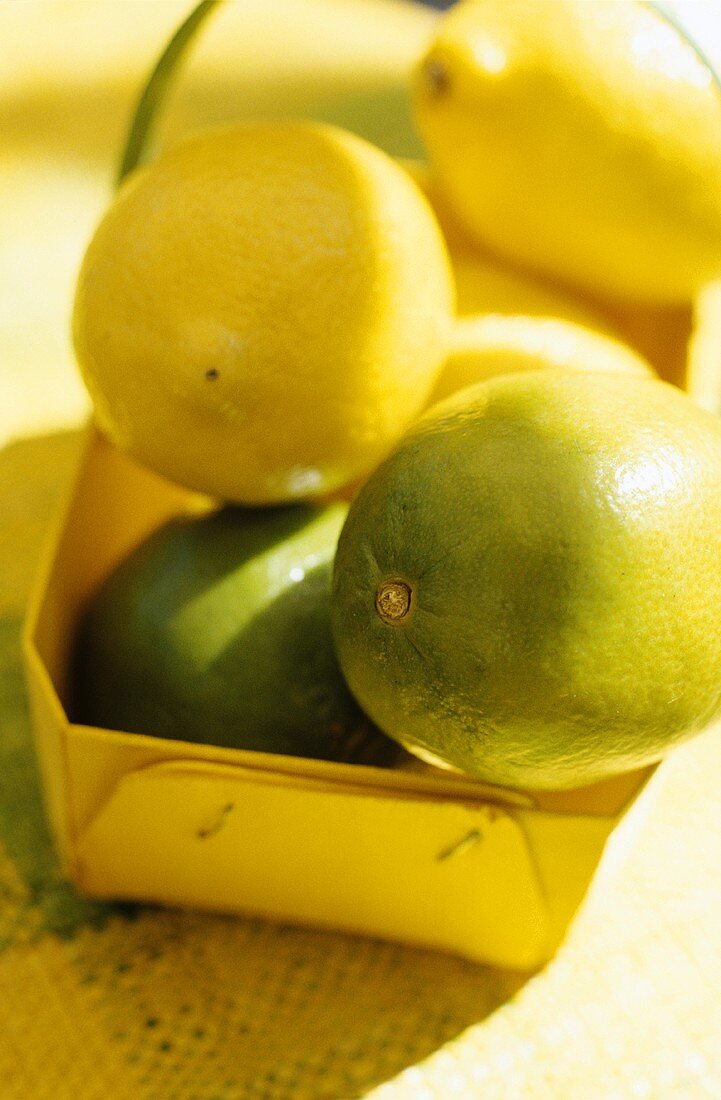 Grüne und gelbe Zitronen in einem Spankörbchen