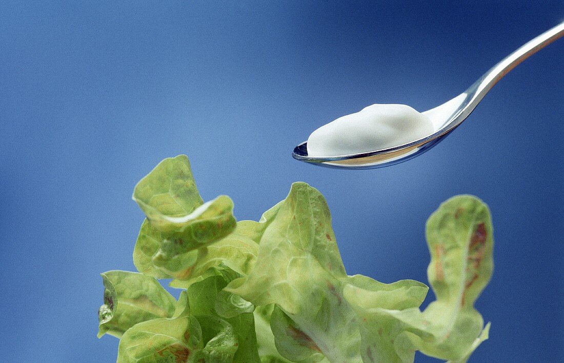 Eichblattsalat und ein Löffel mit Joghurt