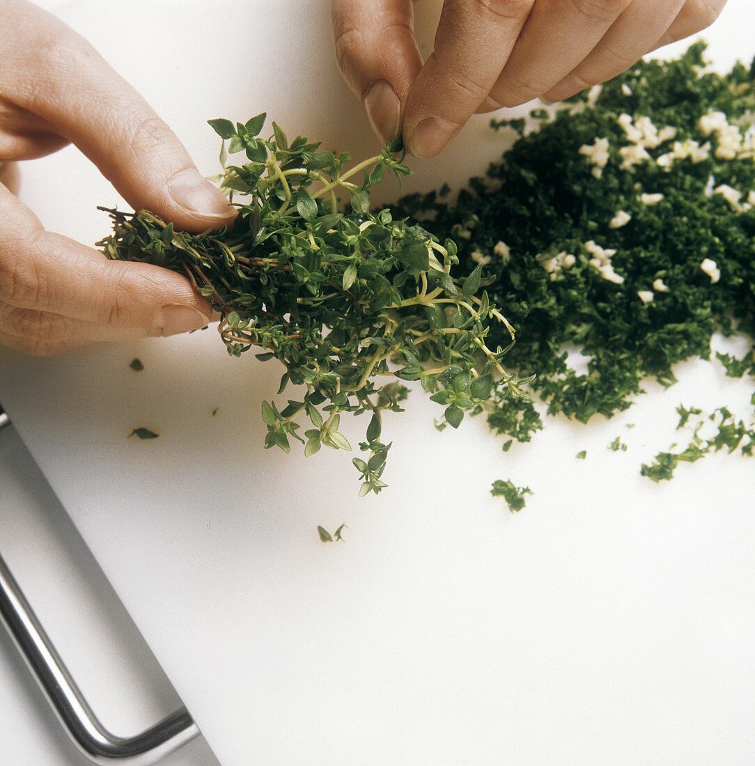 Stripping off cress leaves