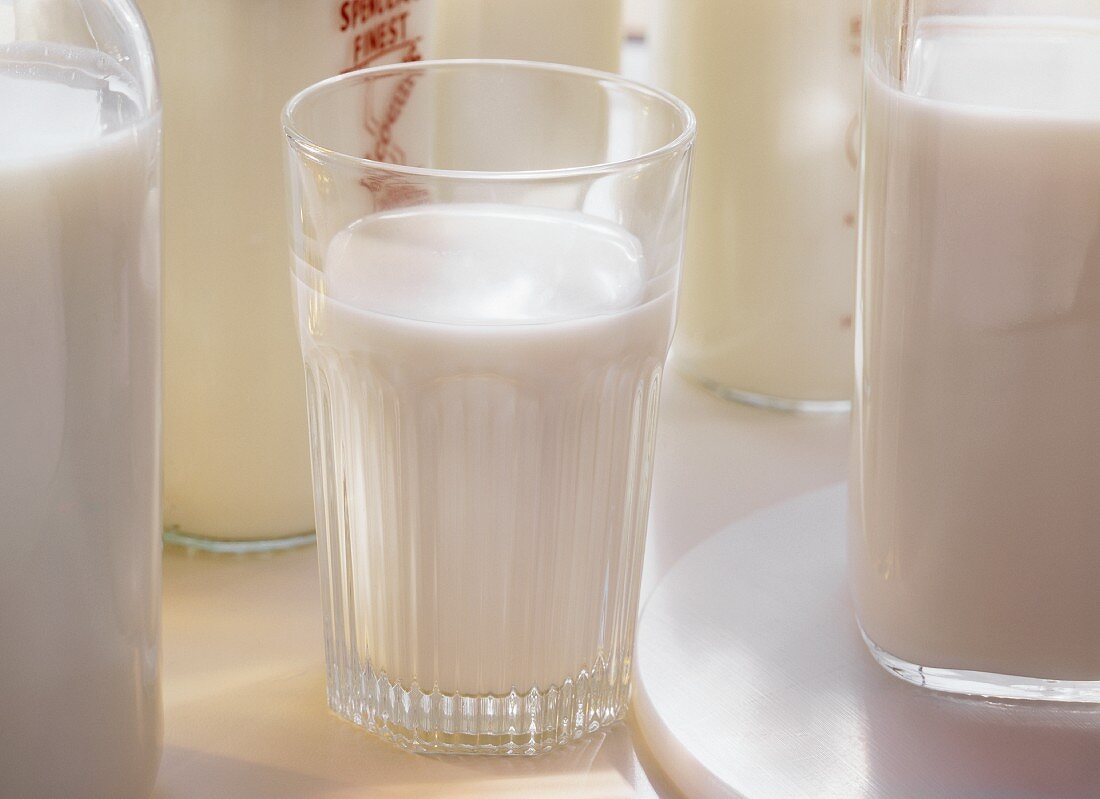 A glass of milk surrounded by milk bottles