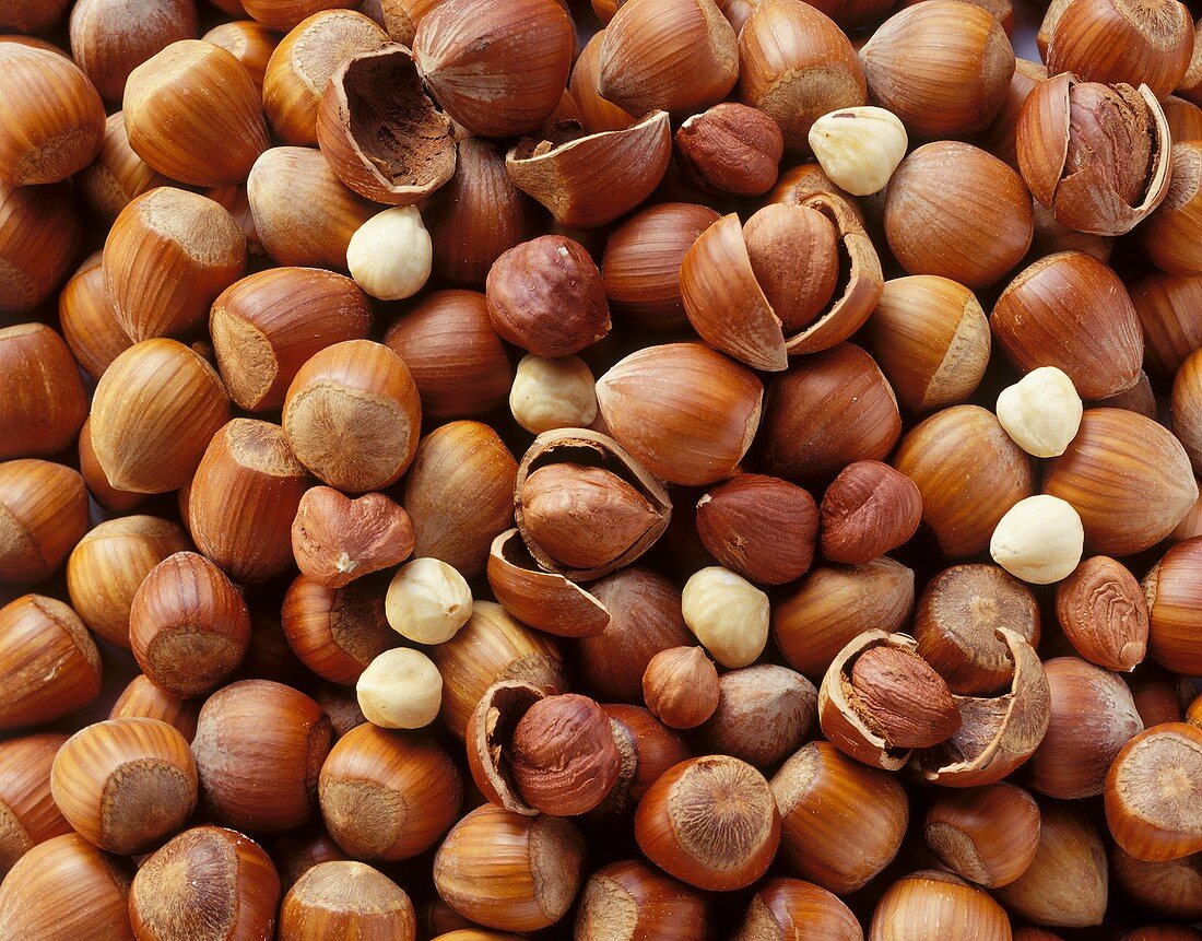 Hazelnuts with & without shells (filling the picture)