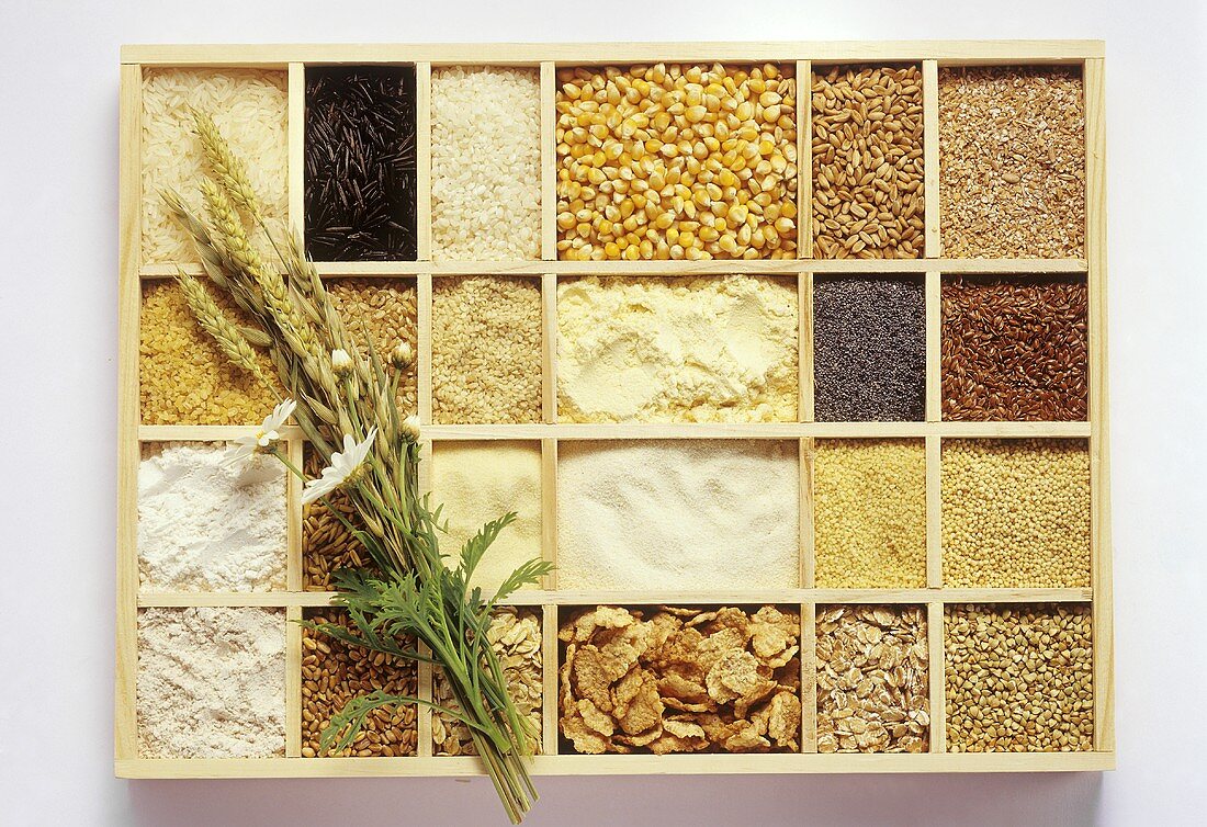 Getreide- und Reissorten & Getreideprodukte im Setzkasten