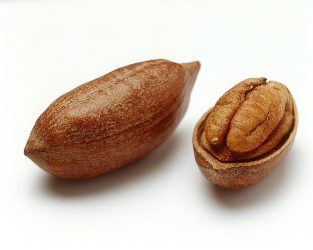 Two pecan nuts