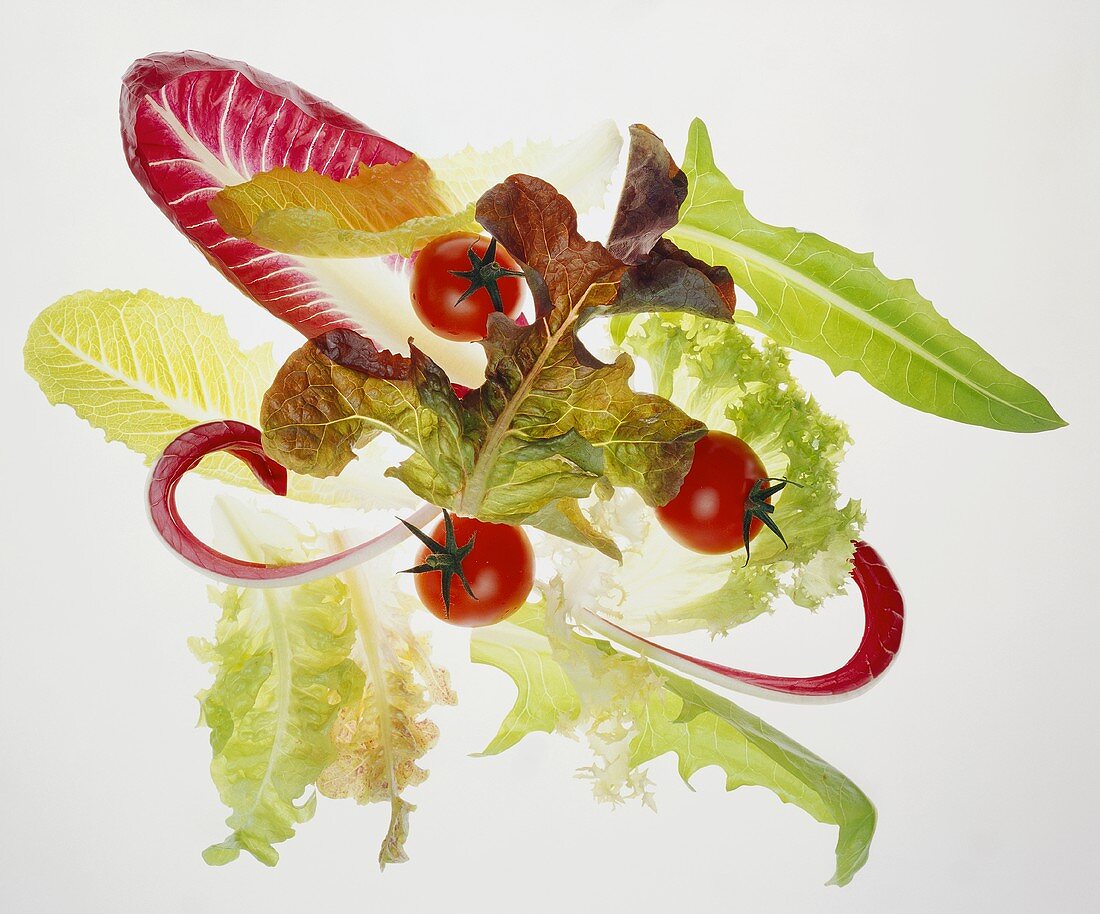 Various salad leaves and cocktail tomatoes