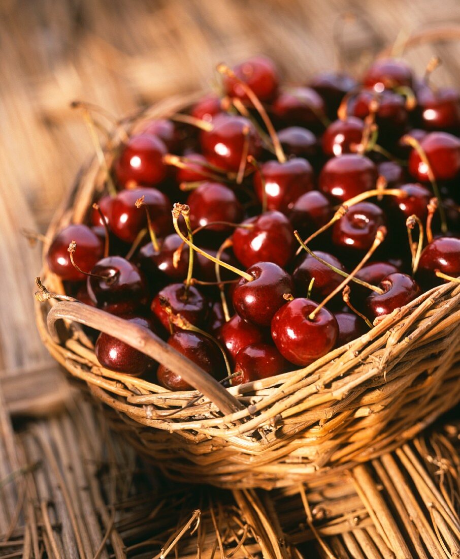 Freshly picked cherries in basket