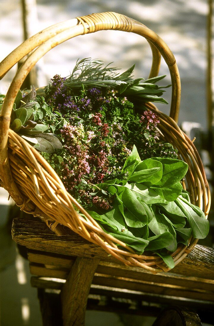 Basket of fresh garden herbs from Provence