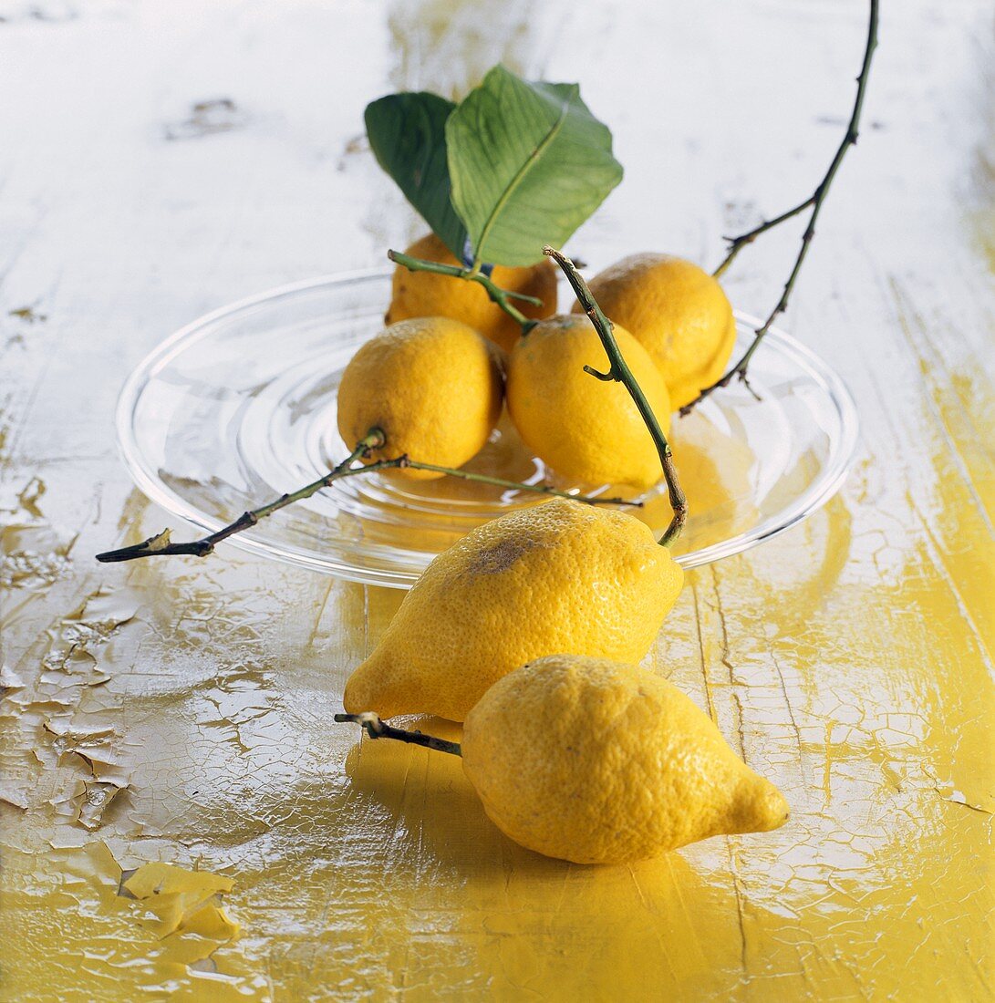 Lemons with Branches