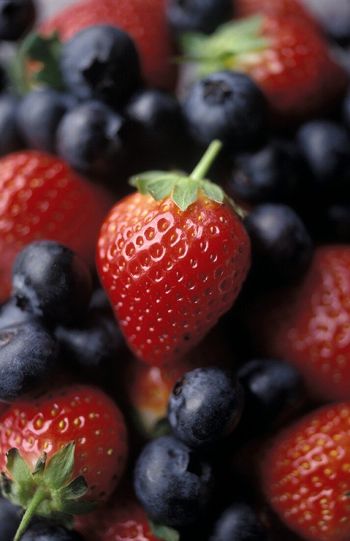 Frische Erdbeeren und Heidelbeeren
