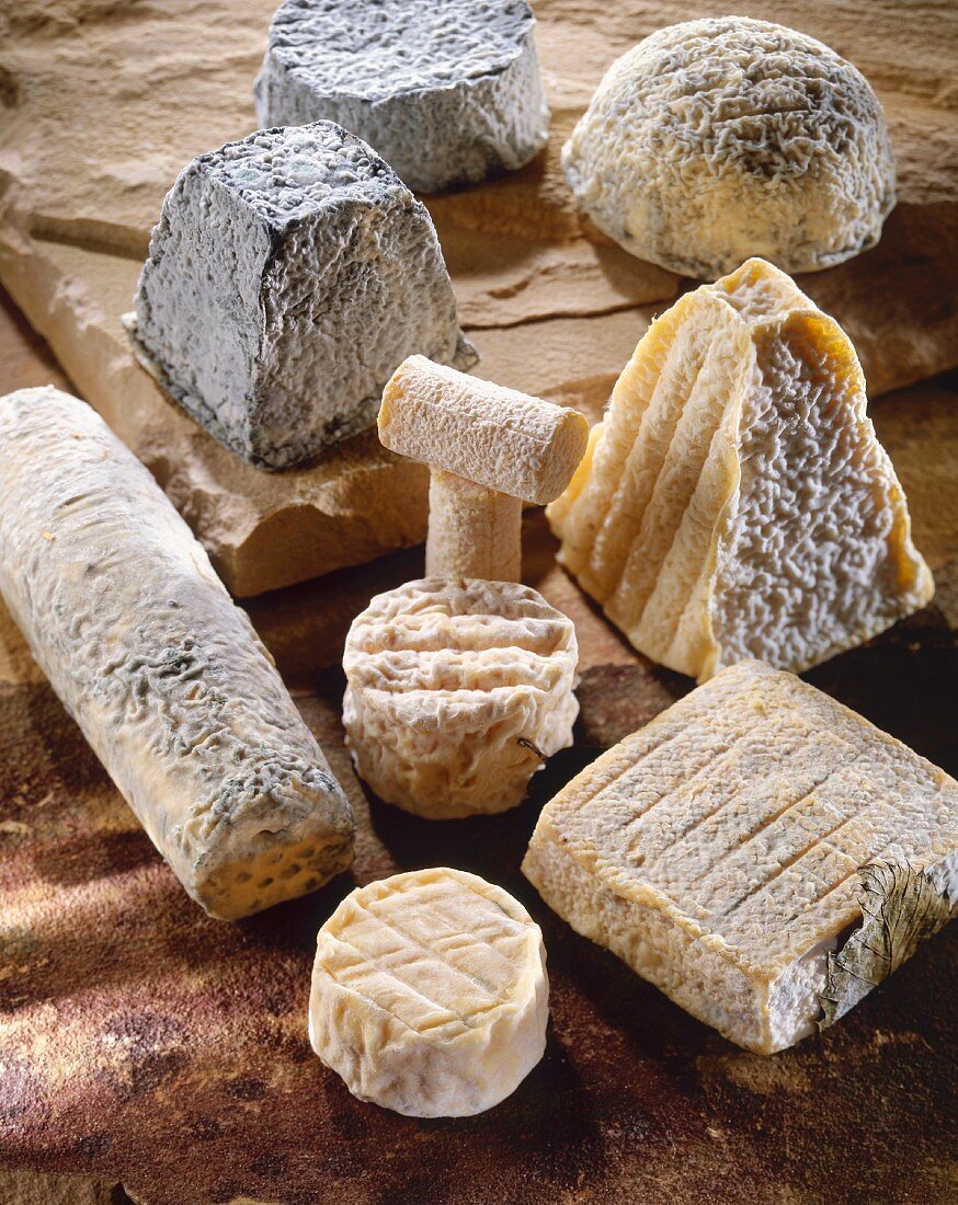 French goat's cheeses (Valencay, Pouligny-Saint-Pierre, Saint-Maure, Crottin, Taupiniere, Pavè etc.)