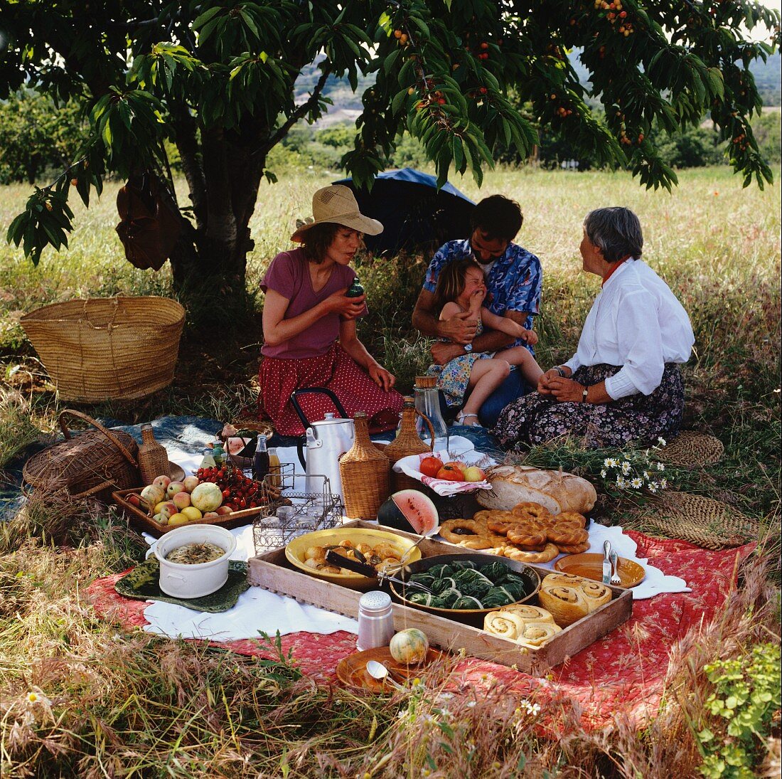 Picnic in open air under cherry tree