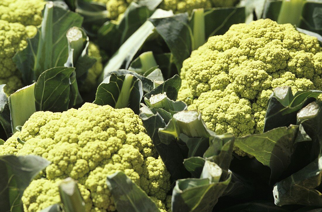 Green cauliflower