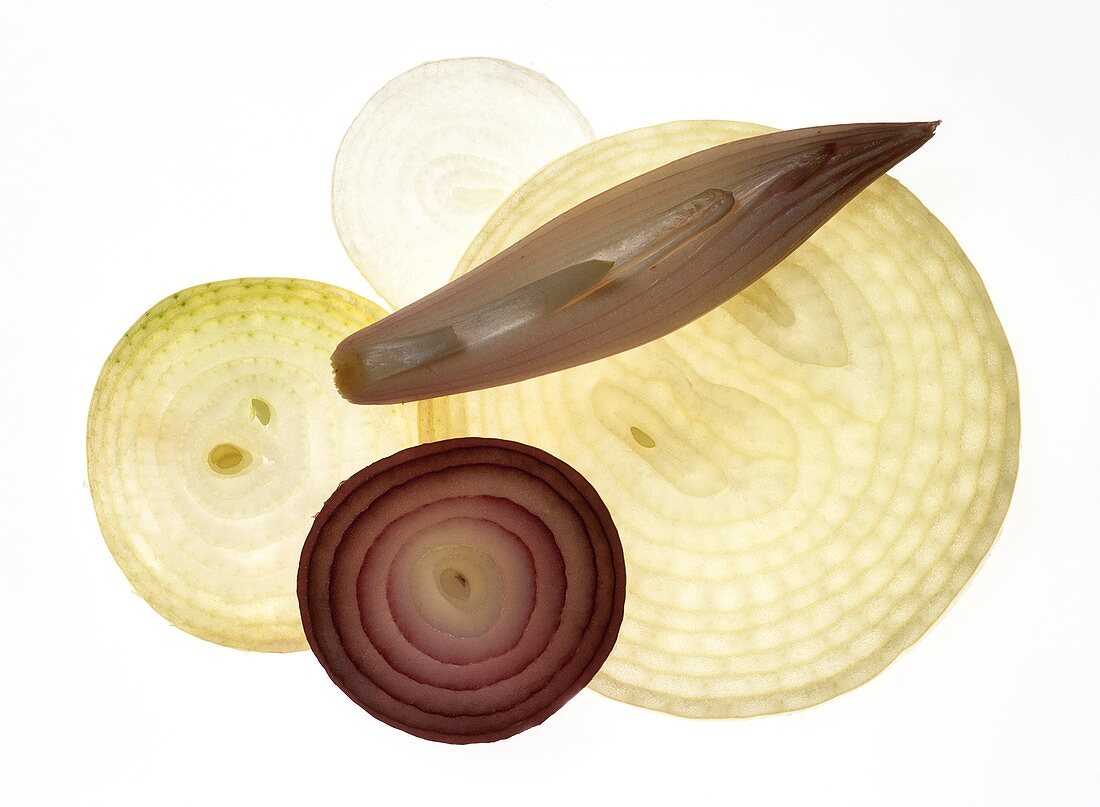 Slices of onion