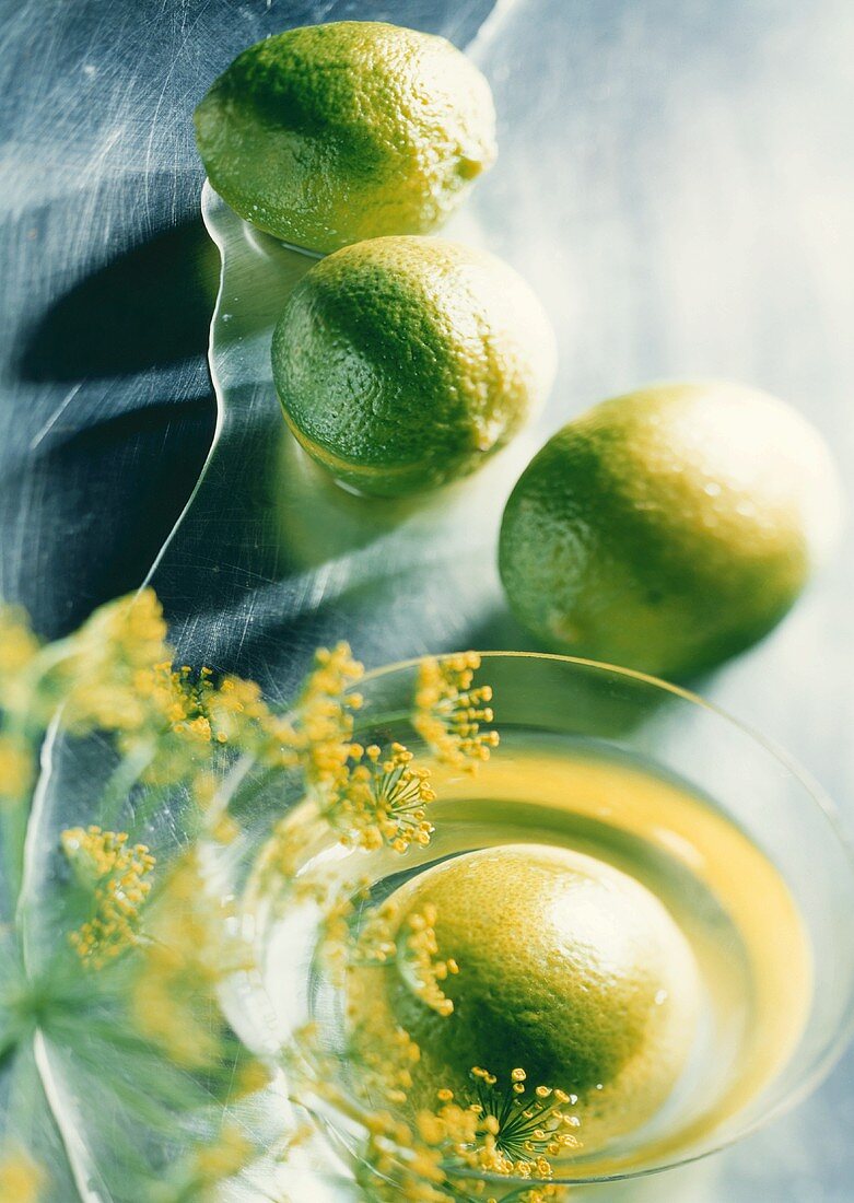 Limes with dill flowers