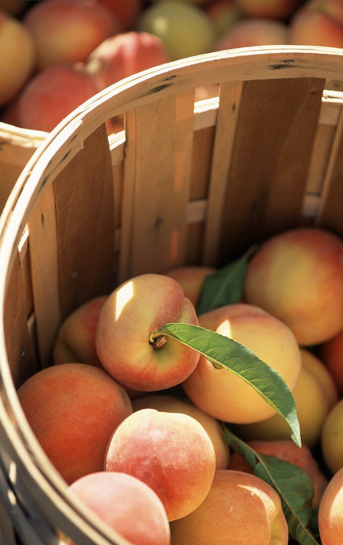 Peaches in a basket