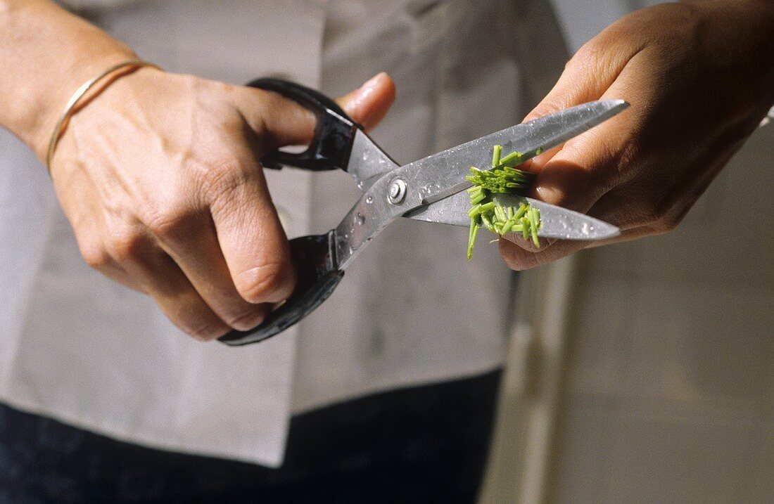 Cutting chives with scissors