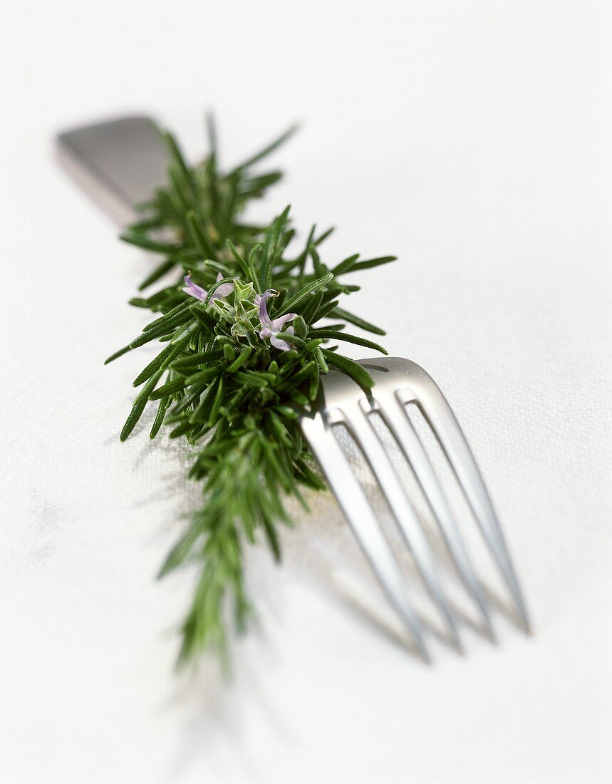 Rosemary on Fork