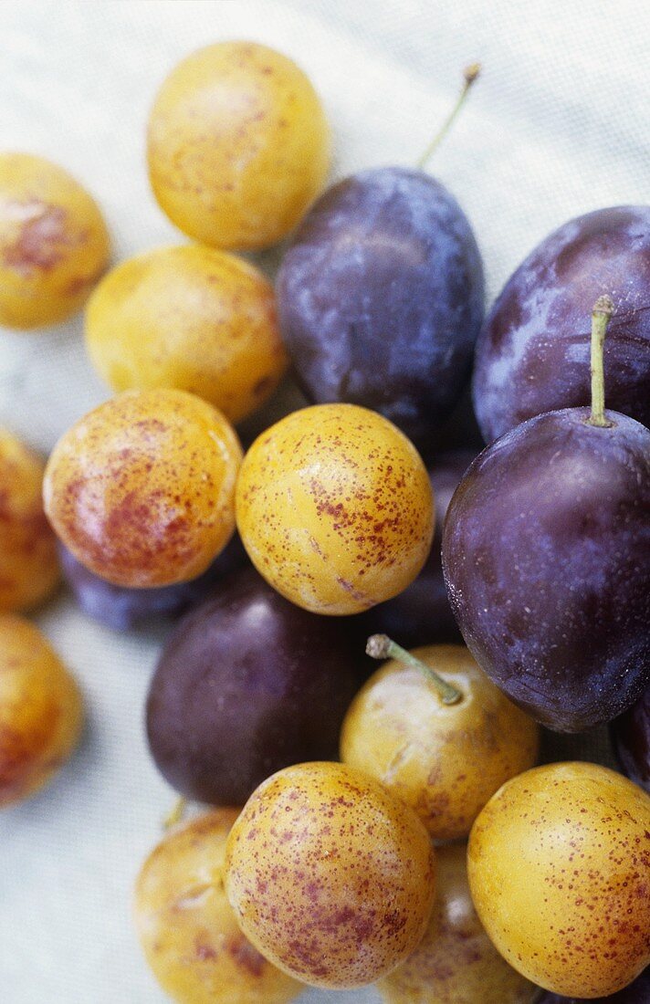 Mirabelles and damsons