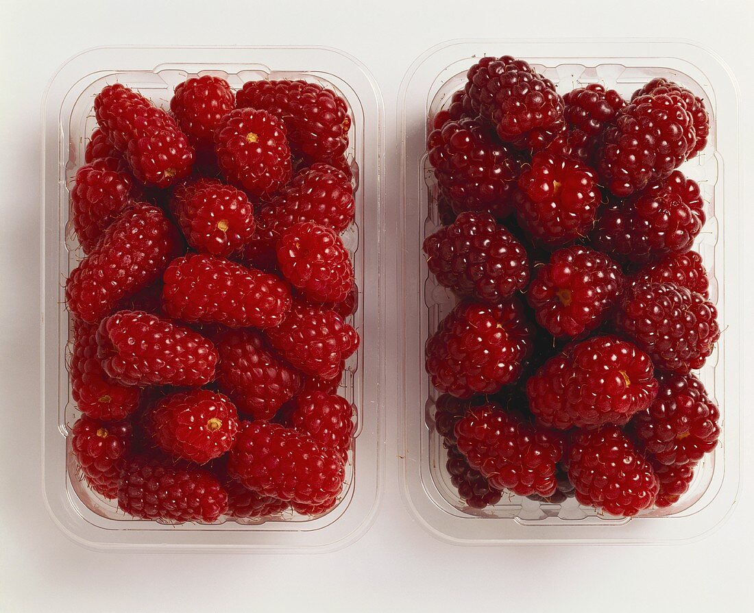 Two types of raspberries in plastic punnets
