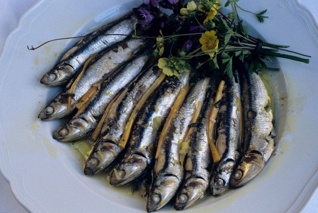 Sarde in marinata (Marinierte Sardinen, Italien)